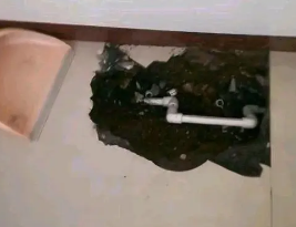 鄂温克卫生间测漏水多少钱